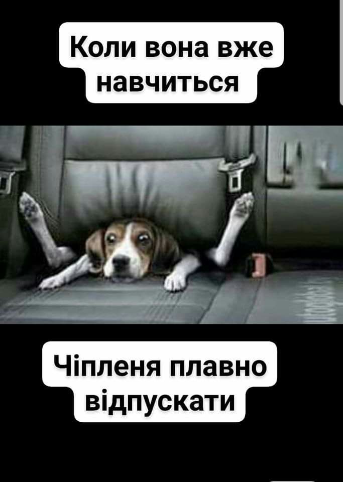 Коли вона вже навчиться Чіпленя плавно відпускати
