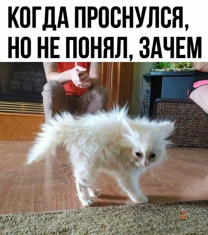 КОГДА ПРОВНУЛЩ НП НЫЮНЯЛ ЗАЕМ