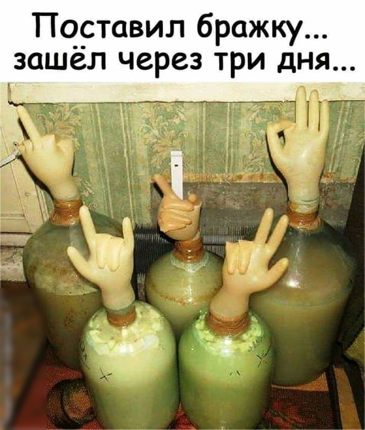 Псгртавил бражку зашел через три дня