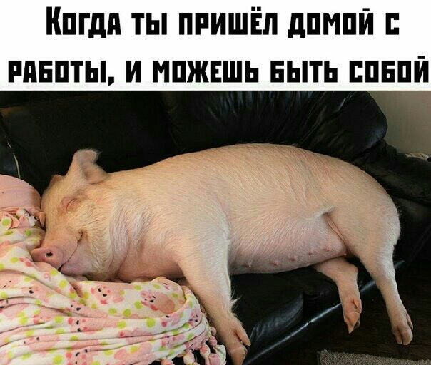 Кпгдп ты ппишіл дпмпи ппнпты и мпжншь ныть ппнци