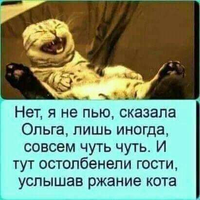 Нет я не пью сказала Ольга лишь иногда совсем чуть чуть И тут остопбенели гости услышав ржание кота