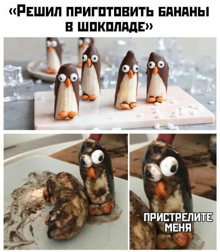 РЕШИП ПРИГПТПВИТЬ ЕдНдНЫ В ШПКПППДЕ