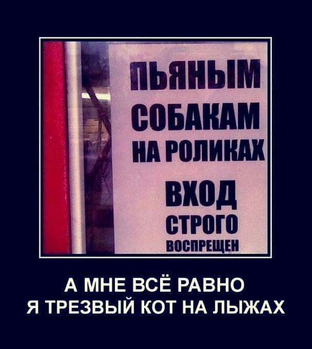 пьяным Ё помним вход строю А мнв_всЁ РАВНО я ТРЕзвыи кот НА пыждх