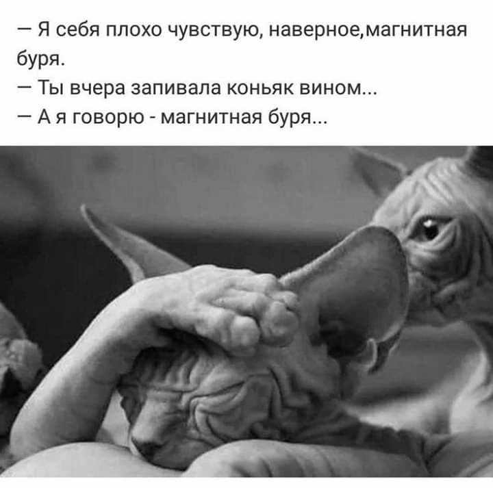 Я себя плохо чувствую наверноемагнитная буря Ты вчера запивала коньяк вином А я говорю магнитная буря