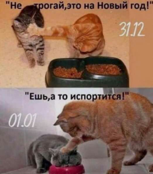 тэнаіюштг1_аъттп 301