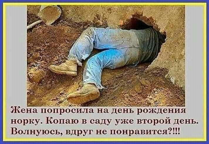 ЁЁ ы ЭКена попросила на день рождения норку Копаю в саду уже второй день Волнуюсь вдруг не понравится