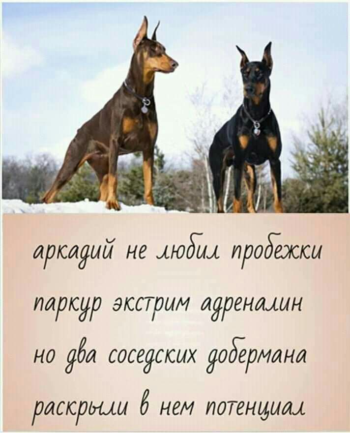 ЛШСЛЯЫЦ не 106741 проданси ПИРСИ ЭКСТРИМ ЛЯЗЕНМЫН но 966 СОСЁЯССЫХ ЗОбёРМИНЛ ПЛССРЮ 6 НЕМ ИОТЕНШХЩ