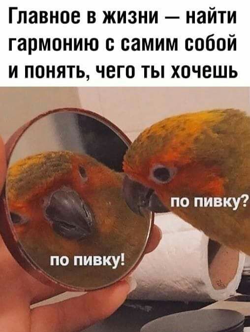 Главное в жизни найти гармонию с самим собой и понять чего ты хочешь по пивку по пивку