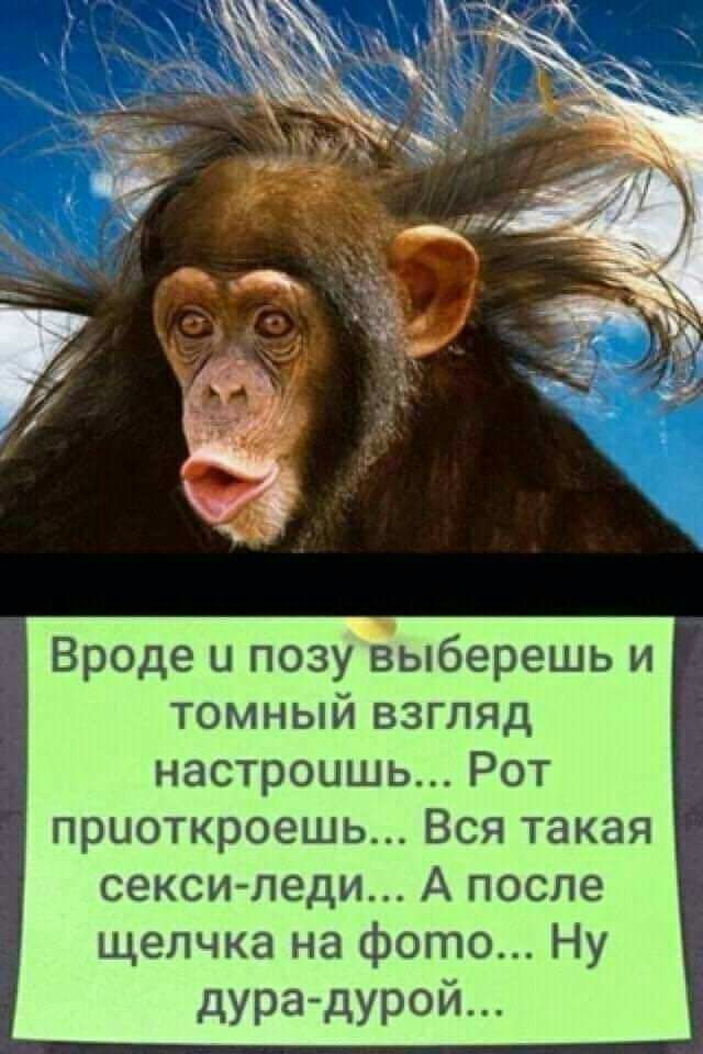 Вроде и позу выберешь и томный взгляд настроишь Рот приоткроешь Вся такая секси леди А после щелчка на фото Ну дура дурой