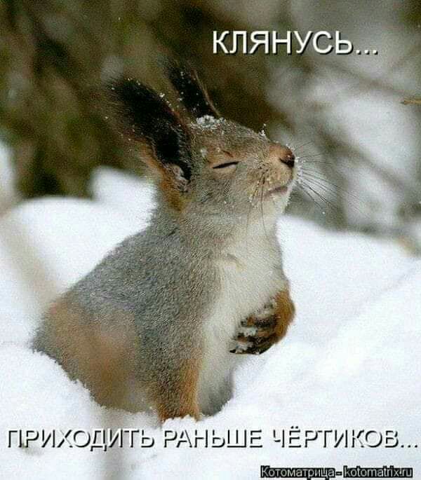 КЛЯНУСЬЁ
