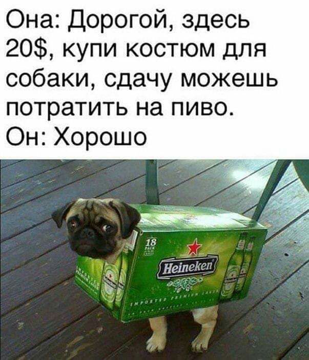 Она Дорогой здесь 20 купи костюм для собаки сдачу можешь потратить на пиво Он Хорошо