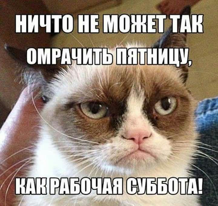 НИЧШ НЕ МПЖЕТ ПШ д