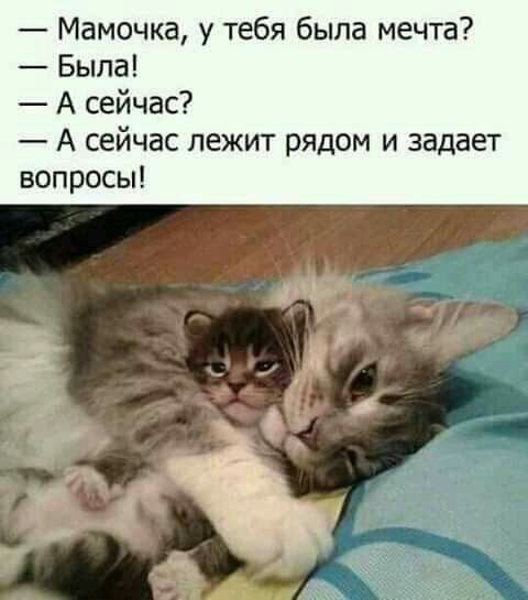 Мамочка у тебя была мечта Была А сейчас А сейчас лежит рядом и задает вопросы