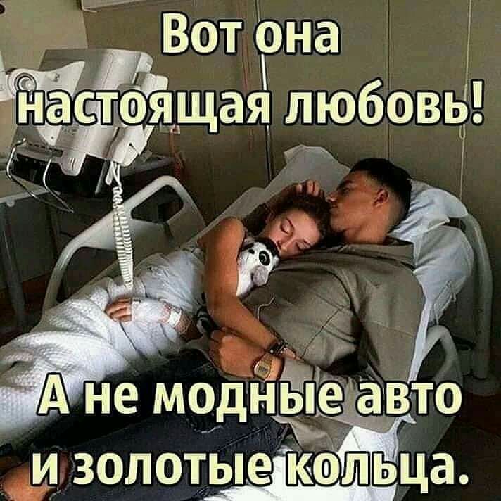 Ь И ЗОЛОТЫЕ КФЛЬЦЭ