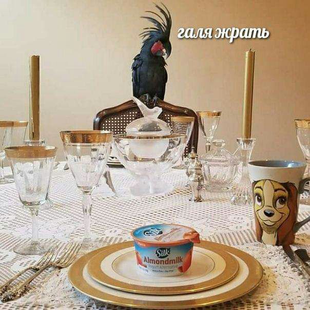 инщші