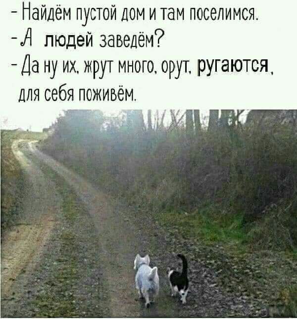 Найдём пустой дом и там поселимся А людей заведём Да ну их жрут много орут ругаются ДЛЯ себя поживём