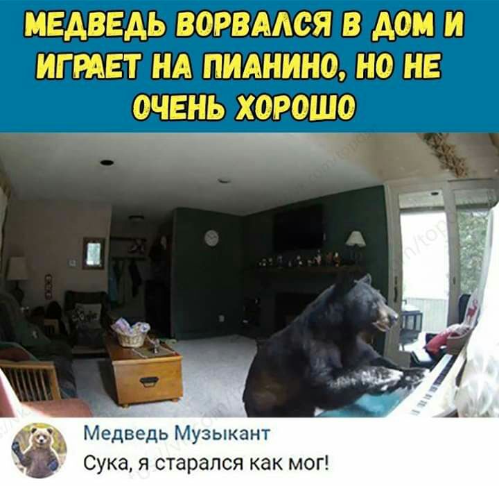 МЕДВЕДЬ ВОРВААОЯ В дом И ИГРАЕТ НА ПИАНИНО НО НЕ ОЧЕНЬ ХОРОШО д Медведь Музыкант Сука я старался как мог