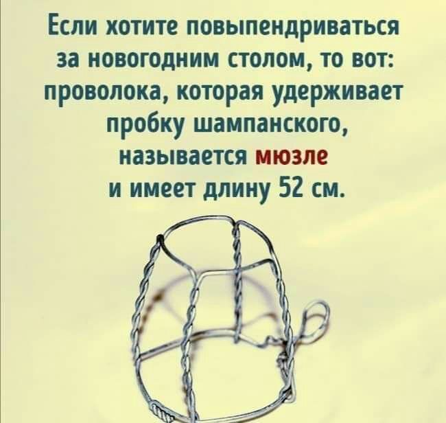 Если хотите повыпендриваться за новогодним столом то вот проволока которая удерживает пробку шампанского называется июзле и имеет длину 52 см