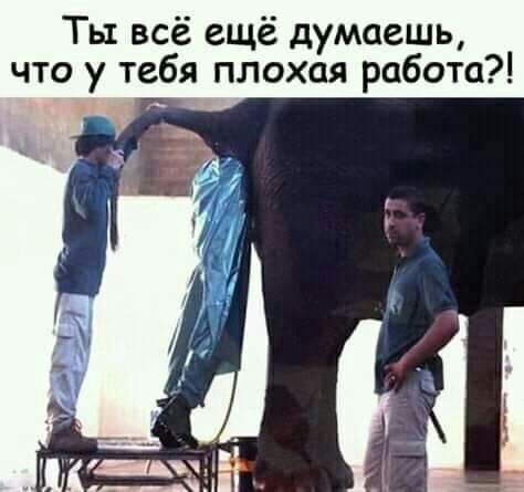 Ты всё ещё думаешь что у тебя плохая работа