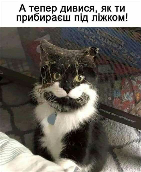 А тепер дивися_як ти прибираеш пнд лпжком