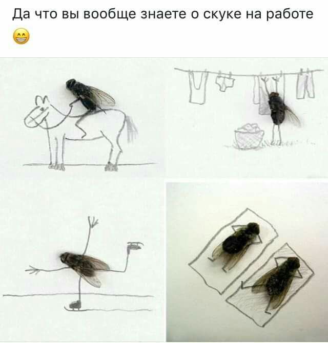 Да что вы вообще знаете о скуке на работе