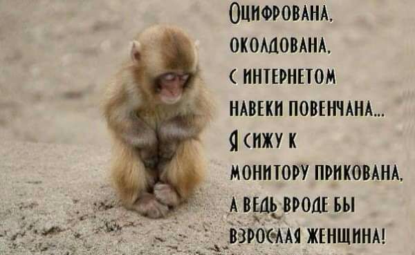 ОЦПФРОВАНА окошовАНА ннтныом НАВЕКИ ПОВЕНЧАНА янжук монитору приковАНА А ведь нропъ ьы найк ААА ЖЕНЩИНА