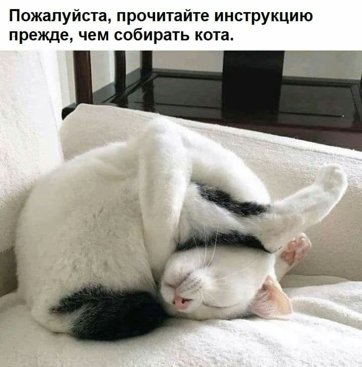 Пожалуйста прочитайте инструкцию прежде чем собирать кота