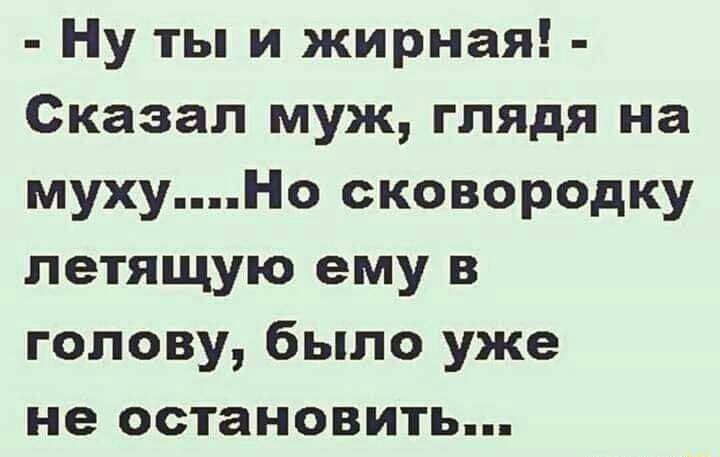 Ну ты и жирная Сказал муж глядя на мухуНо сковородку летящую ему в голову было уже не остановить