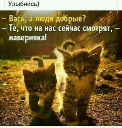 1 Те что на нас сейчас смотрят наверняка