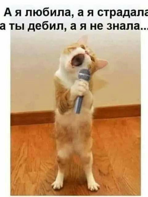 А я любила а я страдала а ты дебил а я не знала