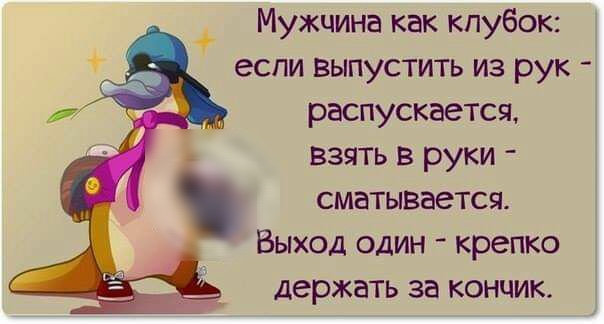 Мужчина как клубок если выпустить из рук распускается взять в руки сматывается Выход один крепко держать за кончик