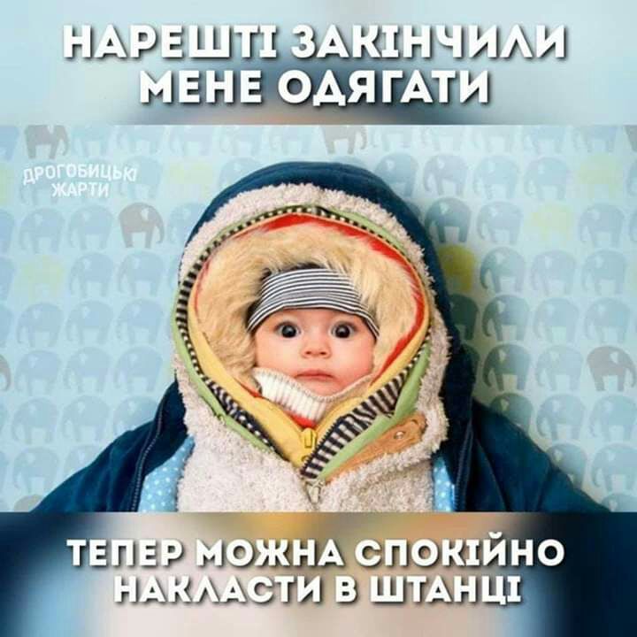 ырзщт ции 51331 _ 3115 из _ эш мызы шт з шт ш