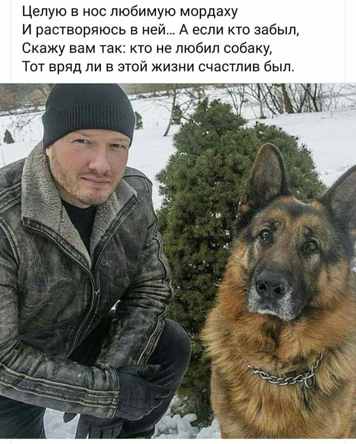 Целую в нос любимую мордаху И растворяюсь в ней А если кто забыл Скажу вам так кто не любил собаку Тот вряд ли в этой жизни счастлив был