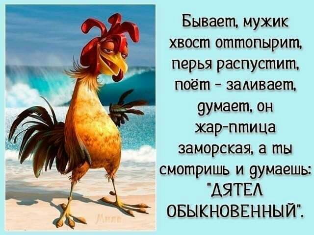 Бывает мужик хвост оттопырит перья распустит поёт заАивает 9умает он жарптица заморская а ты смотришь и 9умаешь АЯТЕА ОБЫКНОВЕННЫЙ