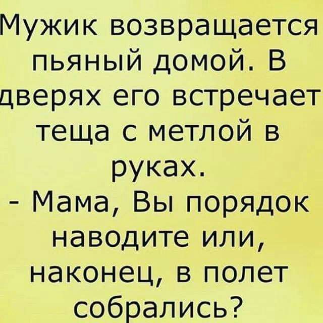 Мужик возвращается пьяный домой В дверях его встречает теща с метлой в руках Мама Вы порядок наводите или наконец в полет собрались