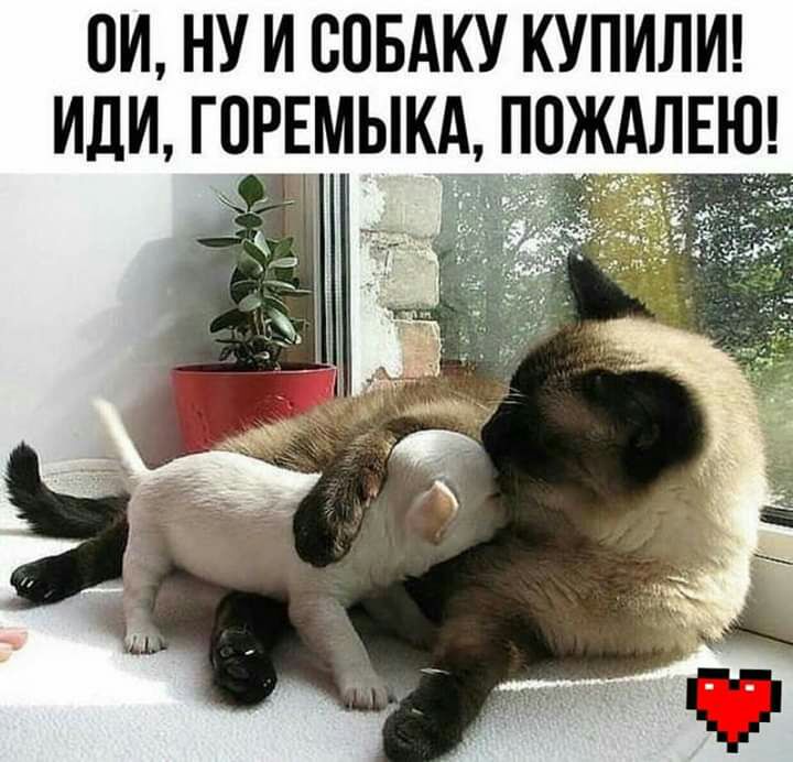 пи ну и совдку купилш иди ГПРЕМЫКА ищите