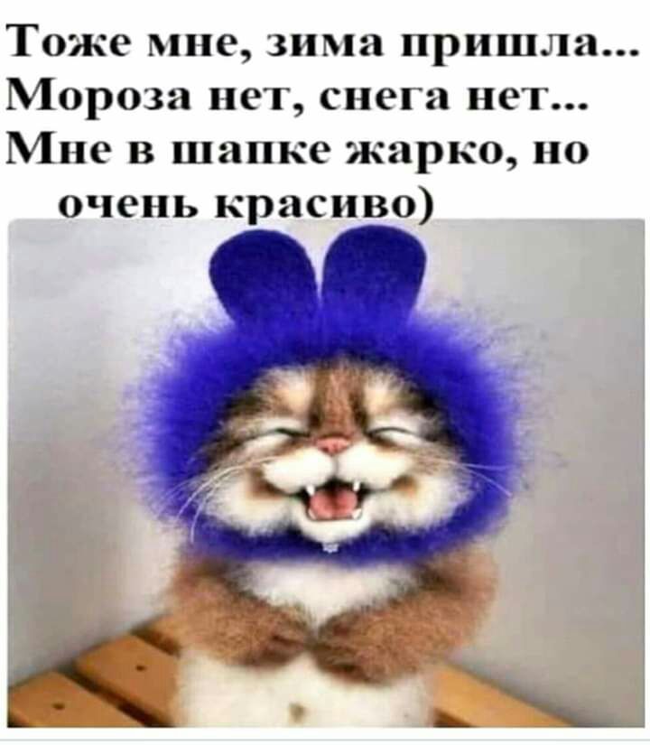 Тоже мне зима пришла Мороза нет снега нет Мне в шапке жарко но очень красиво
