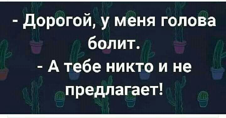 Дорогой у меня голова болит А тебе никто и не предлагает