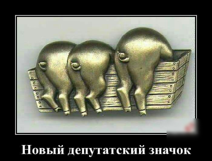 Новый депутатский значок