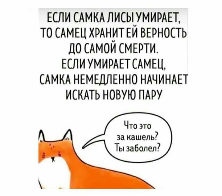 ЕСЛИ САМКАЛИСЬ_УМИРАЕТ ТО САМЕЦ ХРАНИТ ЕИ ВЕРНОСТЬ ДО САМОИ СМЕРТИ ЕСЛИ УМИРАЕТСАМЕЦ САМКА НЕМЕДЛЕННО НАЧИНАЕТ ИСКАТЬ НОВУЮ ПАРУ Что это за кашель7 Ты заболел