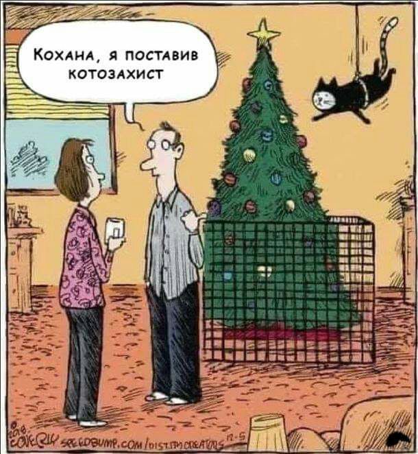 Кохмм я постдвив котоздхист