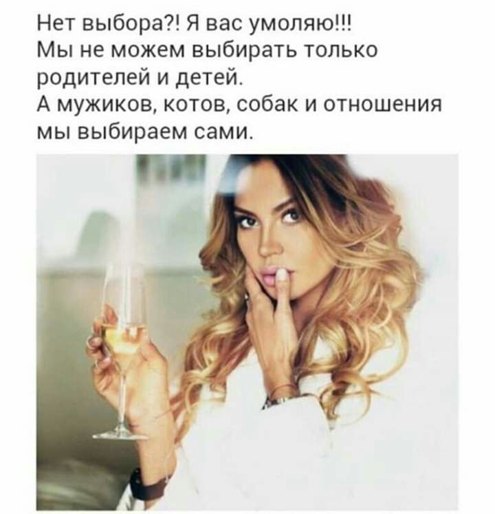 Нет выбора Я вас умоляю Мы не можем выбирать только родителей и детей А мужиков котов собак и отношения мы выбираем сами