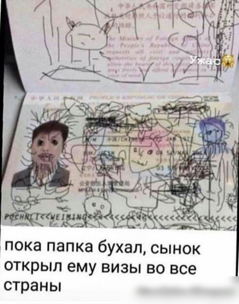 пока папка бухал сынок открыл ему визы во все страны