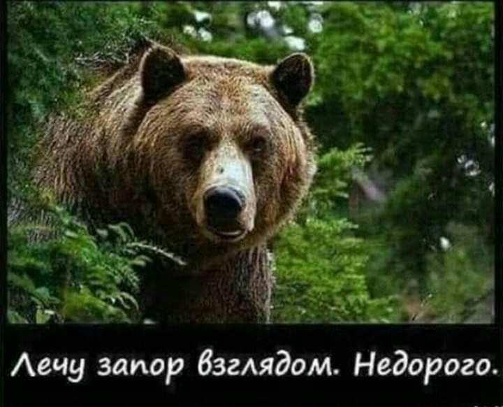 Аечу запор бзгмдом Недорого