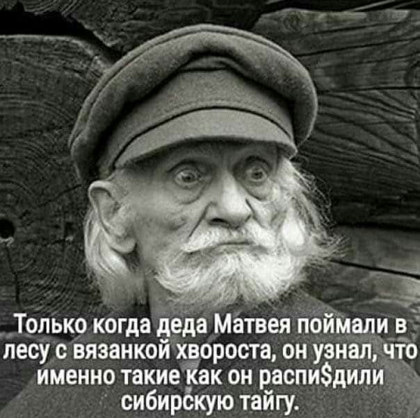 с п _ ТрлЪкр когда ЕвдёМётвея йЁйЁмали в лесуіс вяэанкойхвороста он узн_ именно такиеіак он распидип сибирёкую тайгу