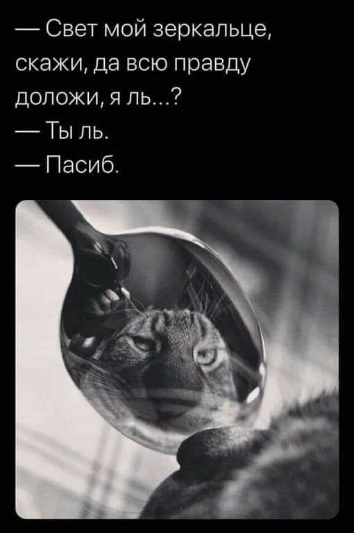 Свет мой зеркальце скажи да всю правду доложи я пь Ты пь Пасиб