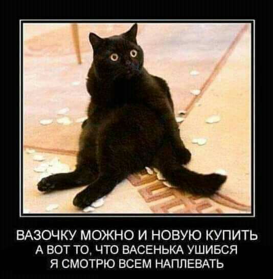 ВАЗОЧКУ МОЖНО И НОВУЮ КУПИТЬ А ВОТ ТО ЧТО ВАСЕНЬКА УШИБСЯ Я СМОТРЮ ВСЕМ НАППЕВАТЬ