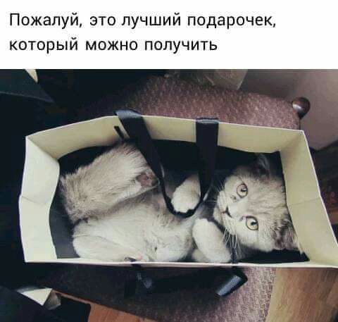 Пожалуй это лучший подарочек который можно получить