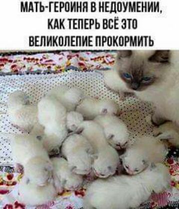 МАТЬ ГЕРОИ В ИШВУМЕИИИ КАК ТЕПЕРЬ ВСЁ ЭТО ВЕЛИКОЛЕПИЕ ПРПКПРМИТЬ