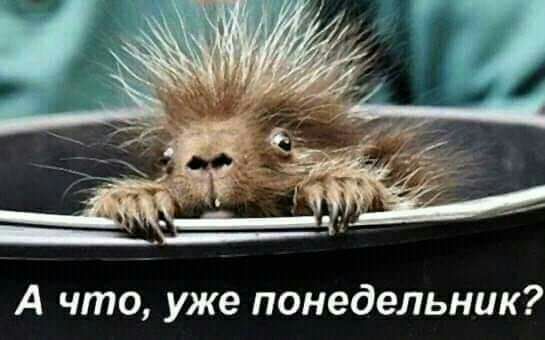 _ А что уже понедельник